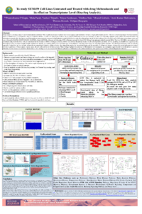 sciforum-106255.pdf