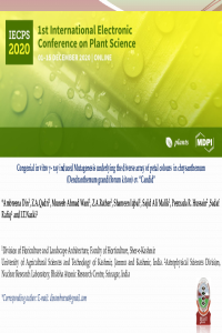 Dr  Ambreena din ppt.pdf