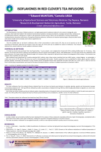 Muntean Edward poster.pdf