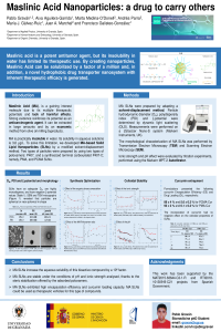 2nd International Online-Conference on Nanomaterials_PabloGraván.pdf