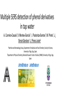 sciforum-037112-presentation PDF.pdf