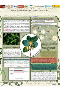 ECA_Camellia japonica Leaves (Paula).pdf