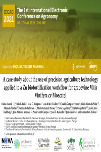 PPT- uva 1 Manuscript agronomy 2021 Daccak.pdf