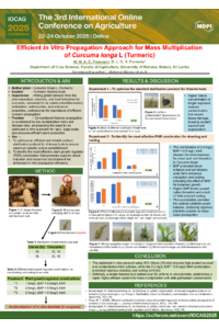 Final version; sciforum 139166_Efficient In Vitro Propagation Approach for Mass Multiplication of Curcuma longa L (Turmeric).pdf