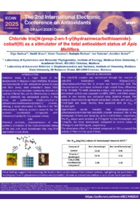 Poster.pdf
