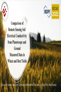 MDPI_Presentations.pdf