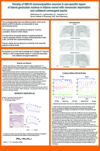 poster LGN SMI32-4.pdf