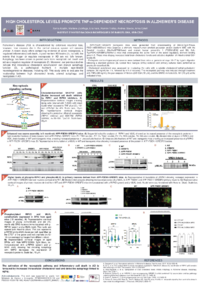 Poster_IOCC_Online_2025_80x60_Corrected.pdf