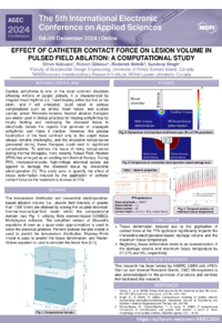 Nabuurs et al_ASEC_2024.pdf