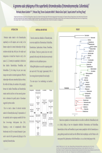 Poster.pdf