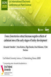 Ermoshin_IECPS2020.pdf