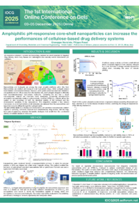 Nunziata_conference_gel_2025.pdf