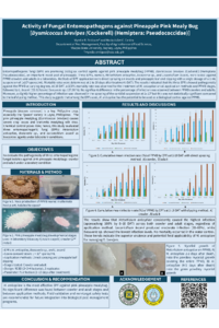 Poster_EnriquezM.pdf
