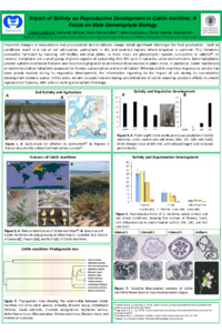 Impact of Salinity on Reproductive Development in Cakile maritima. A Focus on Male Gametophyte Biology.pdf