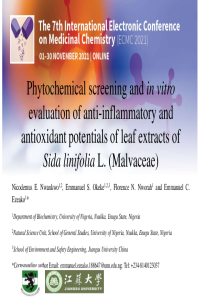 edited Sciforum Presentation(1).pdf