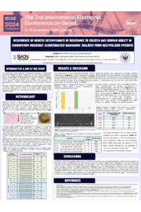 IECGE 2024 - Confirmed Poster for Gallery - sciforum106233.pdf
