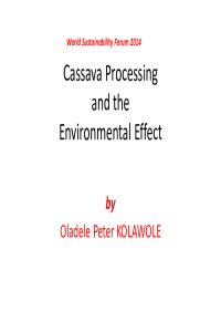 WSF-4_Cassava Processing and the Environment Effect_Presentation_ Kolawolf.pdf