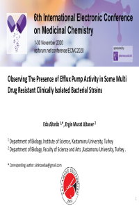 Altınöz, E and Altuner E. M. sciforum-040279_.pdf