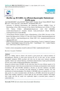 sciforum 0228004.pdf