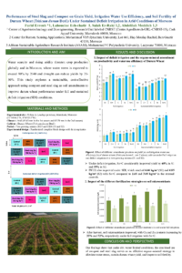 sciforum-139310_Farid_ERROUH.pdf
