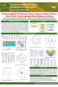 Poster MDPI Conference 2025 (1).pdf