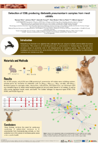 Silva et al eca2025.pdf