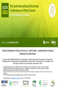 1.Coelho et al. Plants 2 - Batata presentation - reformulado 15112021.pdf