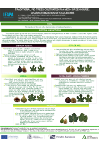 Poster HIGUERA_ITALIA.pdf