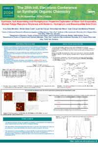 ICianga-Poster ECSOC-2024.pdf