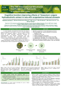 sciforum-101324-Lechkova-poster.pdf
