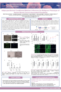 Maria Francesca Fiorita - Poster 5th IECC.pdf