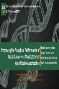 IECB2020_oral_RLG.pdf