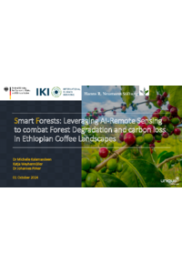 Kalamandeenetal2024_LeveragingAIforForestMonitoring.pdf