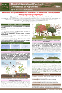 Poster IECAG 24_Paula.pdf