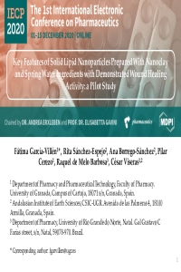 Presentaci SLN.pdf