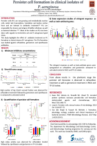 poster-persister-2022.pdf