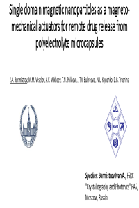 sciforum-065420.pdf