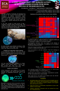 ECA2022_Baranova.pdf