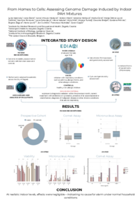 IOCXe2026 – sciforum-177874.pdf