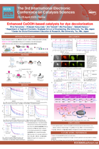 ECCS_RinaYamamoto_MieUniversity.pdf