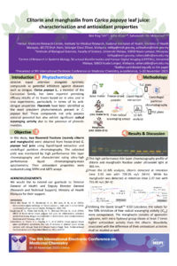sciforum-081305 (revised).pdf