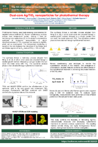 110459-Leonardo Bottacin.pdf