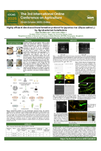 Haque_IOCAG2025.pdf