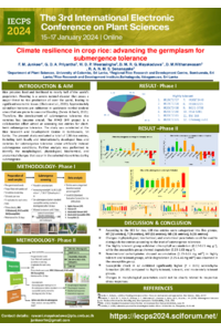 IECPS2024_sciforum-082755.pdf