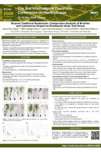 sciforum-116341.pdf