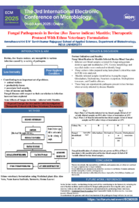 ECM_2025_Poster_Presentation.pdf