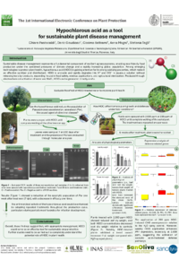 Poster_IECPP2026_ChiaraPastacaldi.pdf