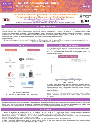 BASTANTE-RABADAN_POSTER-IOCTO2026.pdf