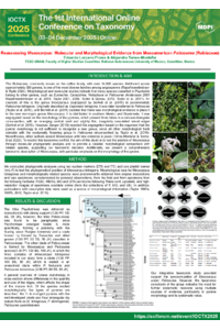 Mexocarpus_Poster.pdf