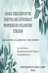 Presentation_Kalmykova.pdf